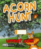game pic for Acorn Hunt  Motorola V3XX